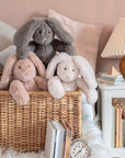 Arthur et Louison Rabbit