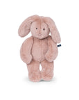 Arthur et Louison Rabbit