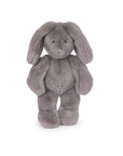 Arthur et Louison Rabbit