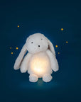 Puce & Pilou Light-up Rabbit
