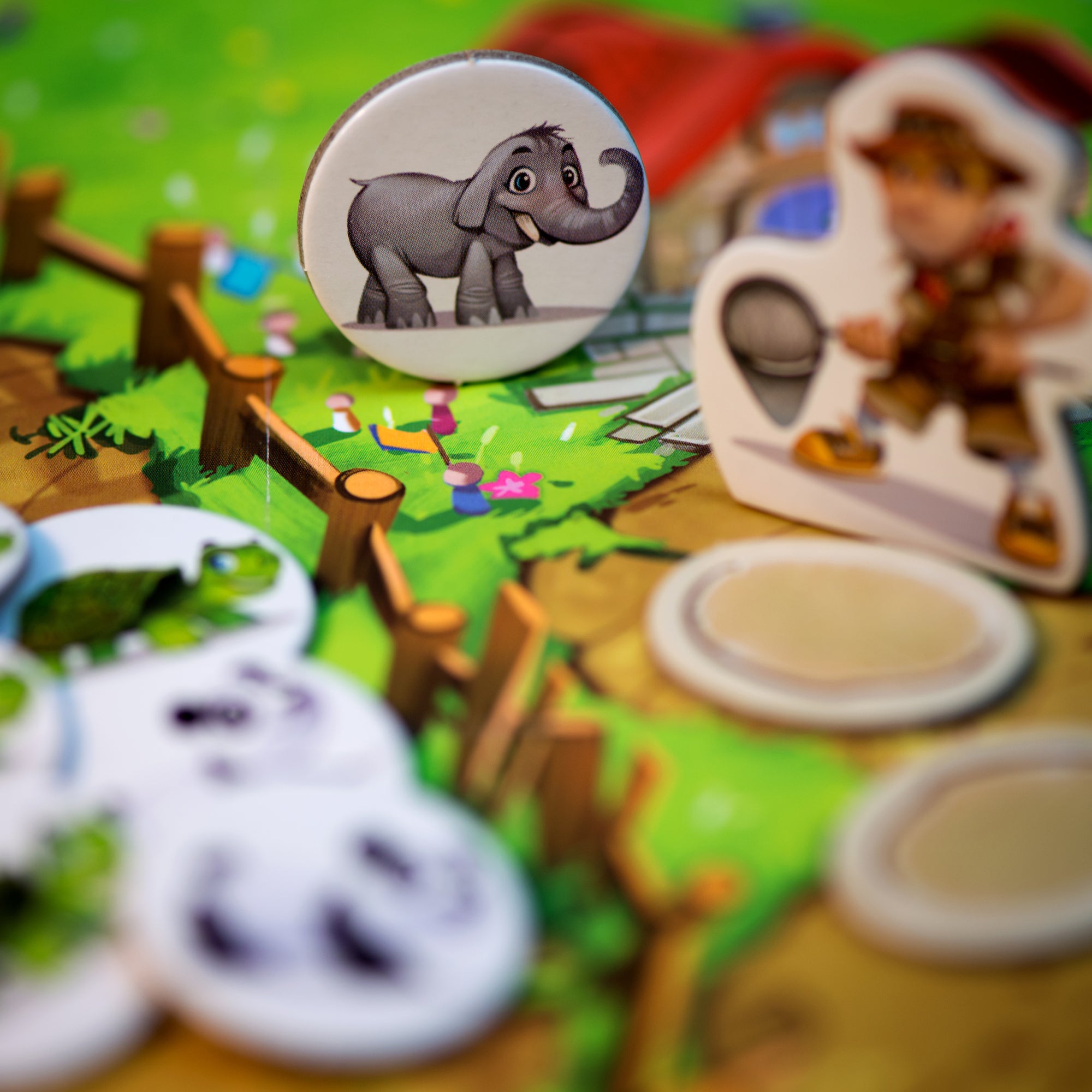 Zoo Run